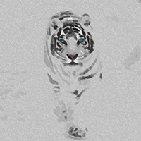 WhiteTigerArt